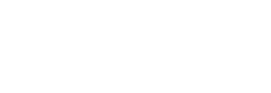 Logo white